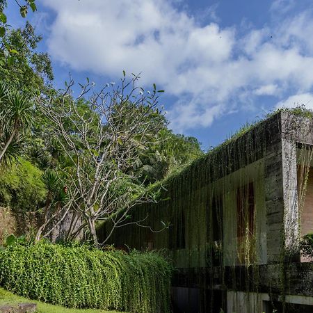 Chameleon Villa Bali Selemadeg Екстериор снимка